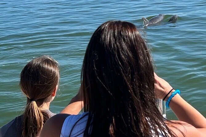 Island Paradise: Dolphin, Shelling, Birding Eco Boat Tour - FAQs