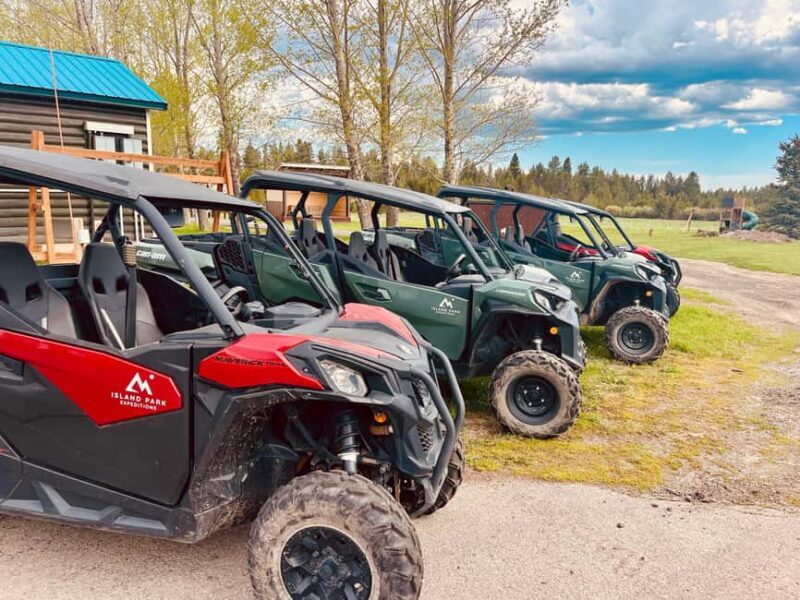 Island Park: Full-Day UTV Adventure - The Experience in Action