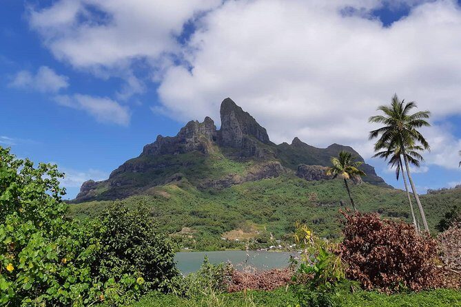 Island Tour & Getaway on the Bora Bora Mountains by Quad / ATV - Who Will Love This Tour