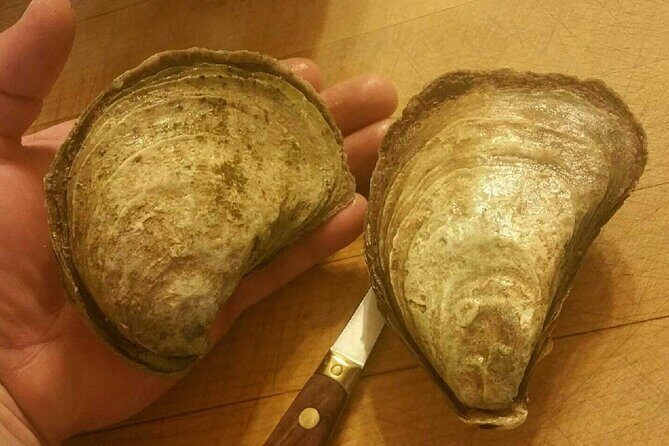 Island Tour with Oyster Tasting & Merroir Experience P.E.I. - Who Is This Tour Best For?