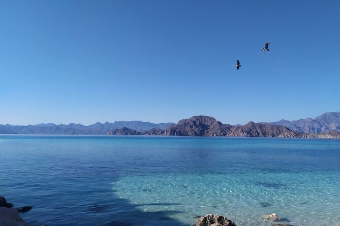Islands of Loreto PRIVATE TOUR (Danzante y Sur de Carmen) - What’s Included and Why It Matters