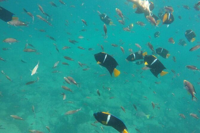 Islas Marietas PRIVATE enter hidden beach 100% GUARANTEED - The Sum Up