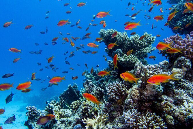Islas Marietas Tour on Catamaran - Departures from Puerto Vallarta - Lunch, Drinks, and Entertainment