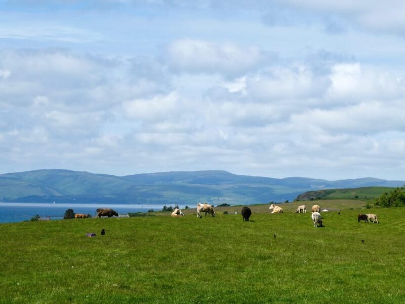 Isle of Arran: Exclusive Private Farm Tour with the Farmer - A Closer Look at the Experience