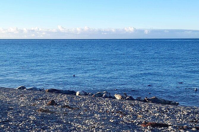 Isle of Man Wildlife & Scenic Adventure with Wildlife enthusiast - What Makes This Tour Special