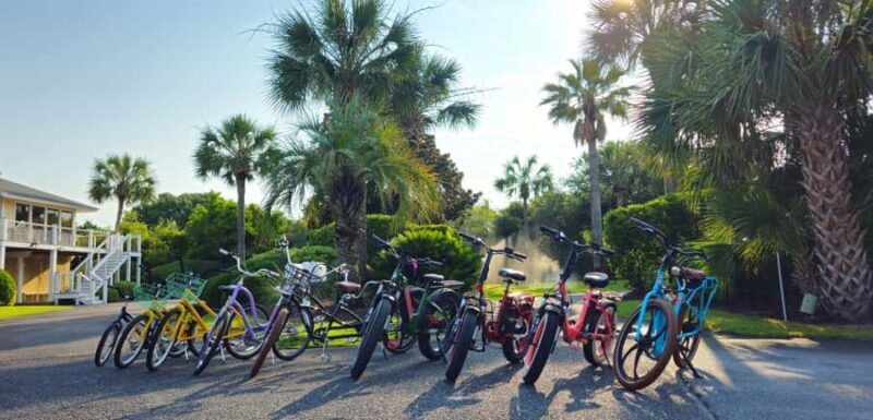 Isle of Palms: Electric Bike Rental - Who This Experience Is Best For