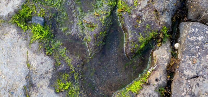 Isle of Skye Driving Tour from Portree with an APP - Is it Worth the Price?