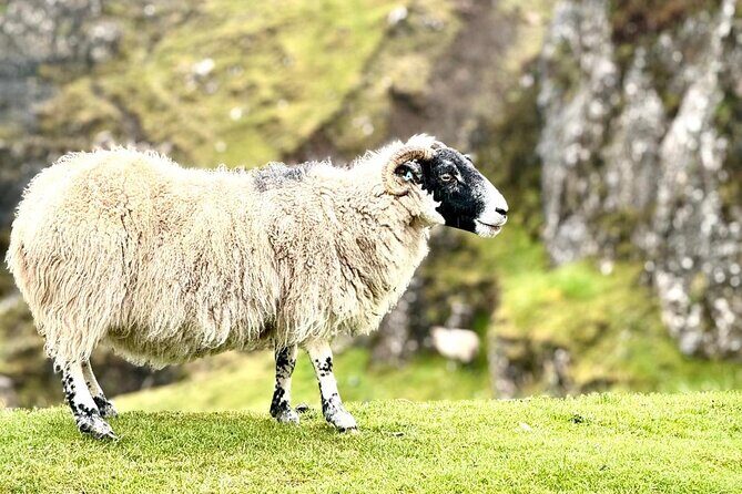 Isle of Skye from Inverness Private Tour - Pros and Cons at a Glance