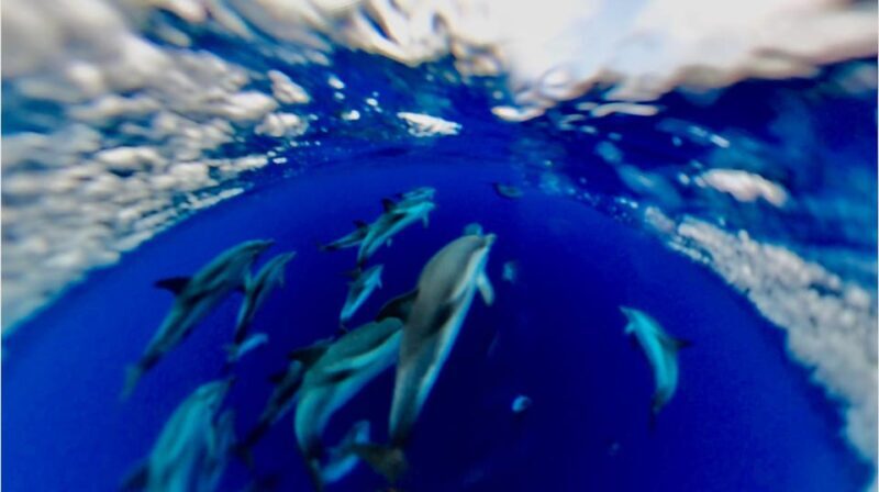 Isola Bella-Blue Grotto: Boat Tour, Snorkeling & Aperitif - What the Tour Includes & Practical Details