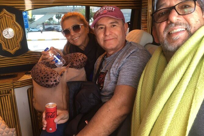 Istanbul Airport Transfer Private Minivan or Minibus - Who Is This Service Best For?