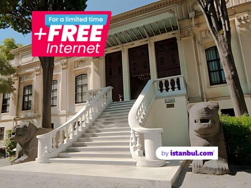 Istanbul Archaeological Museums Entry Ticket & Audio Guide - What Are the Istanbul Archaeological Museums?