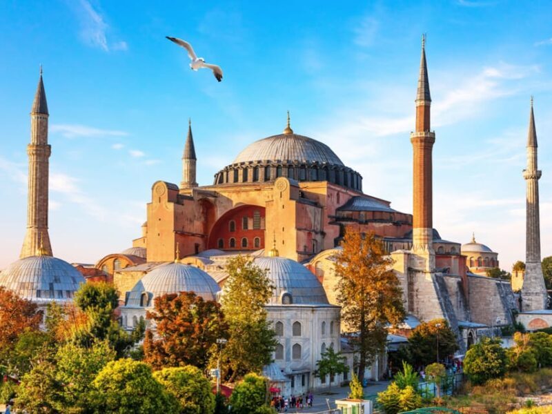 Istanbul: Basilica, Hagia Sophia, Blue Mosque Tour & Cruise - User Feedback and Real-World Insights