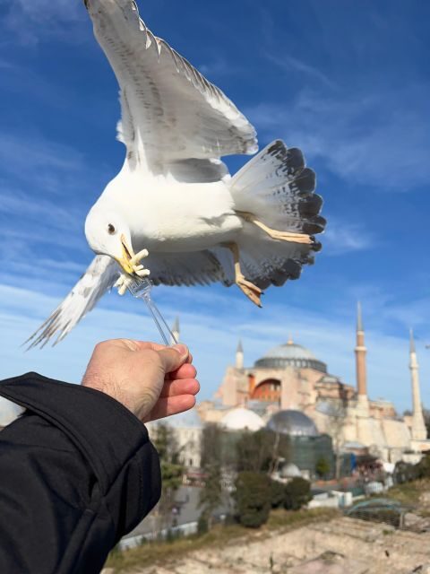 Istanbul: Best of The City Full-Day Tour with Transfers - Final Thoughts