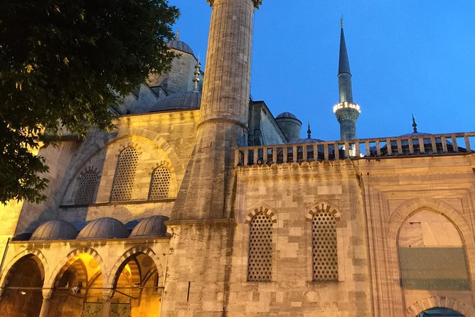 Istanbul: Blue Mosque & Hagia Sophia Small-Group Tour with ticket - Pace, Group Size, and the Real-World Walking