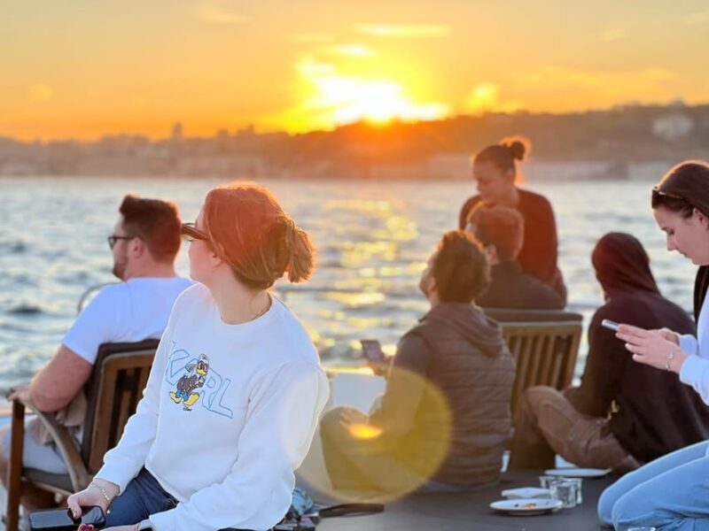 Istanbul: Bosphorus Cruise by Luxury Yacht - The Experience and Atmosphere