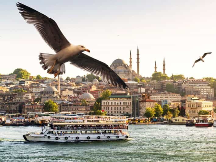 Istanbul: Bosphorus Morning/Sunset Cruise with Optional Stop - Key Points