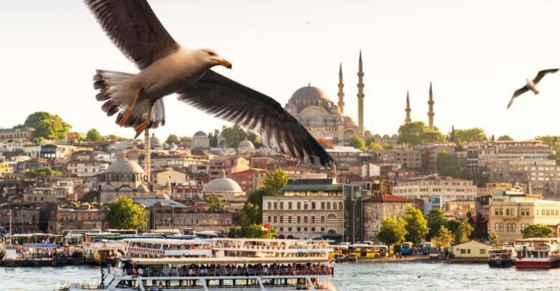 Istanbul: Bosphorus Morning/Sunset Cruise with Optional Stop - An In-Depth Look at the Experience
