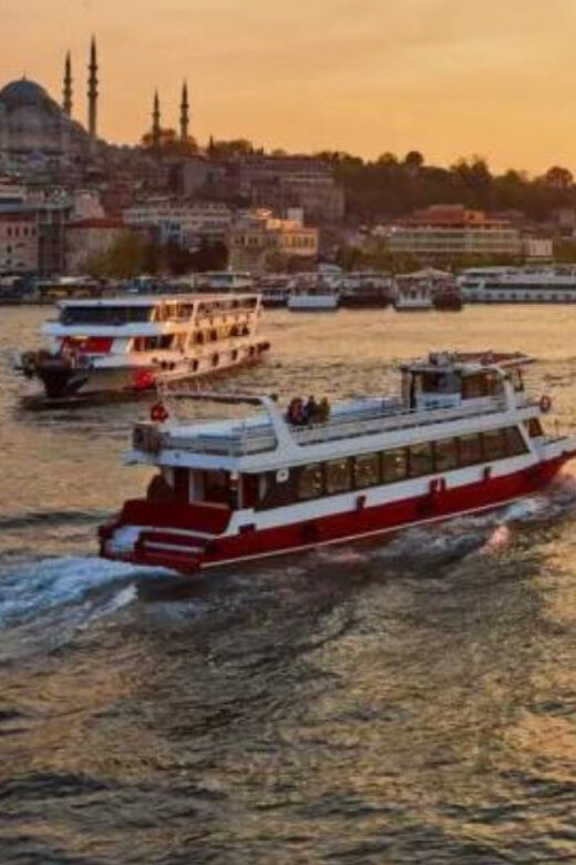 Istanbul: Bosphorus Morning/Sunset Cruise with Optional Stop - Who Is This Tour Best For?