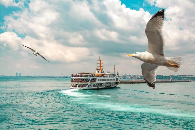 Istanbul: Bosphorus Strait Sightseeing Cruise & Audio Guide - Final Thoughts