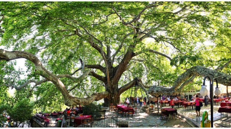 Istanbul: Bursa and Uludag Mountain Day Trip with Cable Car - The Itinerary Breakdown