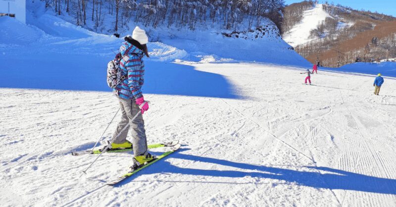 Istanbul: Bursa & Uludag Tour with Lunch & Cable Car Option - Tour Details: What’s Included and What’s Not