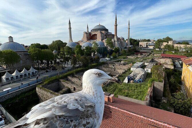 Istanbul city tour from Cruise ship terminal Galataport. - Who Is This Tour Best For?