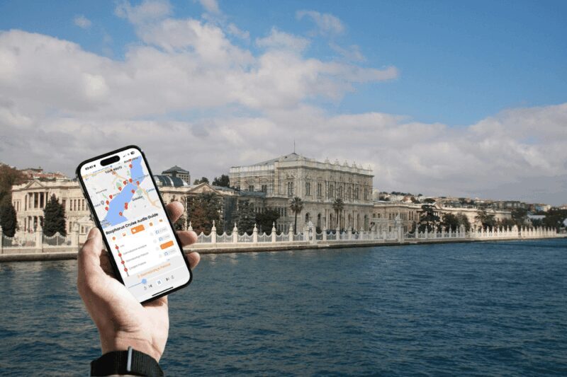 Istanbul: Daytime or Sunset Sightseeing Cruise & Audio Guide - Food & Beverage Options