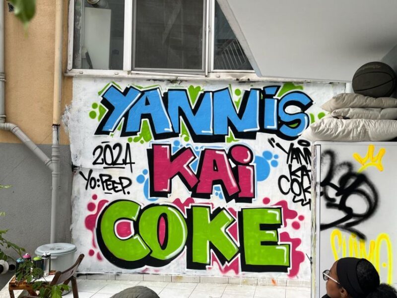 Istanbul: Do Street Art with Local Artists at Home Garden - Who Will Love This Experience?