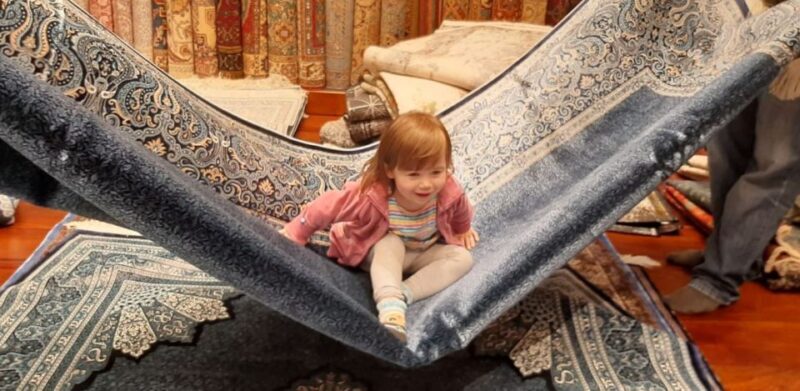 Istanbul: Full-Day Best Highlights Small Group Tour - Key Points