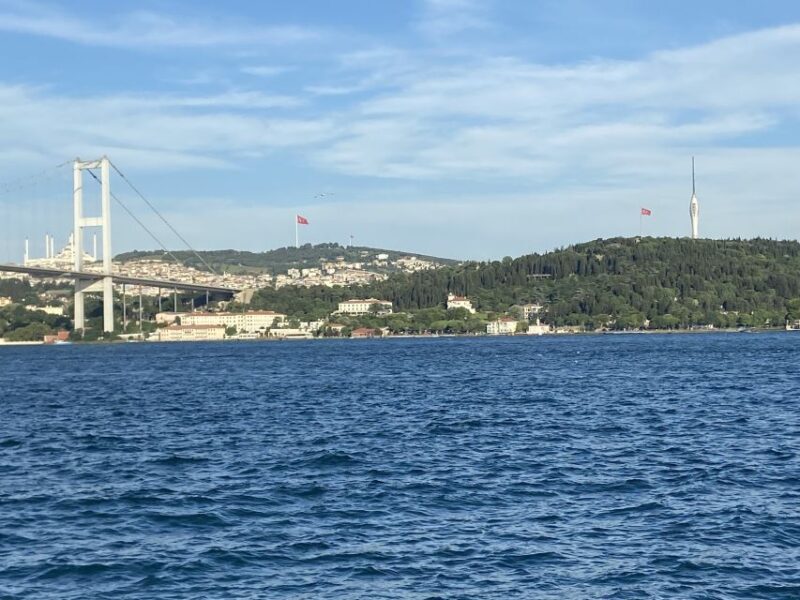 Istanbul: Full-Day Imperial & Asia Small Group Tour - A Taste of Istanbul: Lunch Break