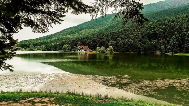 Istanbul: Full-Day Sapanca Lake and Masukiye Tour with Lunch - Seasonal Highlights: Nature and Snow