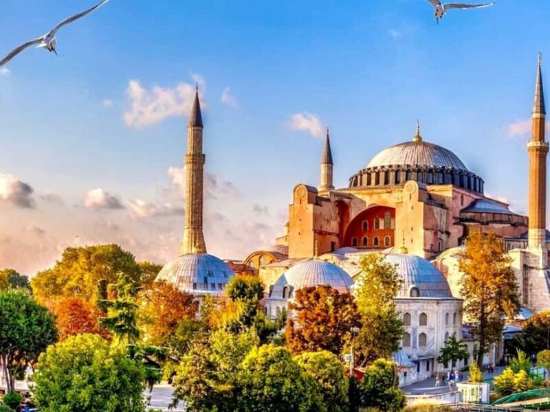 Istanbul: Hagia Sophia & Blue Mosque Entry Tickets - Discover the Charm of Istanbul’s Top Landmarks with This Guided Tour