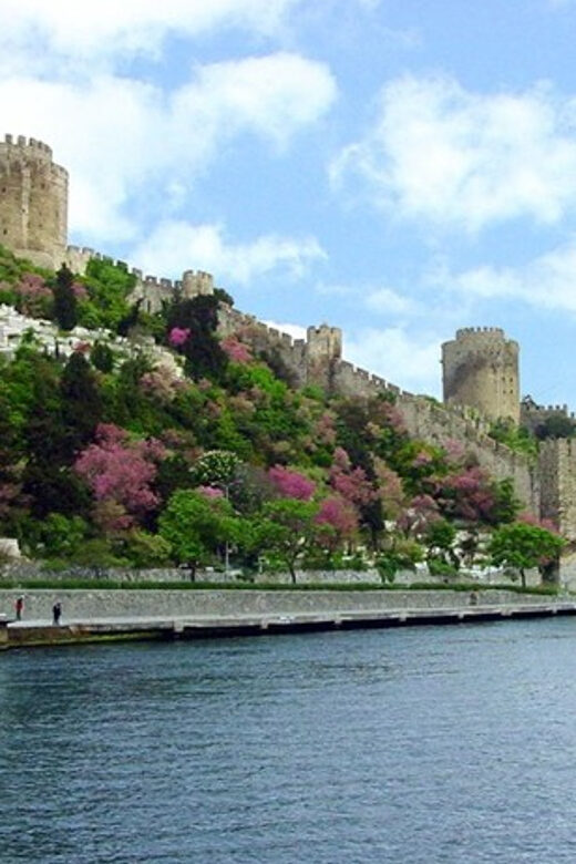 Istanbul Half-Day Tour and Bosphorus Cruise - What You Can Expect from the Tour