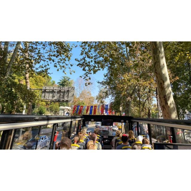 Istanbul: Hop-On Hop-Off Sightseeing Bus with Audio Guide - The Experience: What’s Good and What’s Not