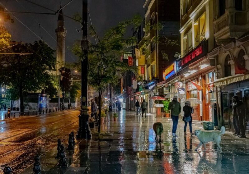 Istanbul: Istanbul Night Walking Tour - Exploring the Istanbul Night Walking Tour