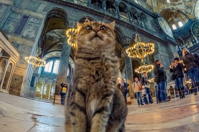 Istanbul Old City Tour - Final Thoughts