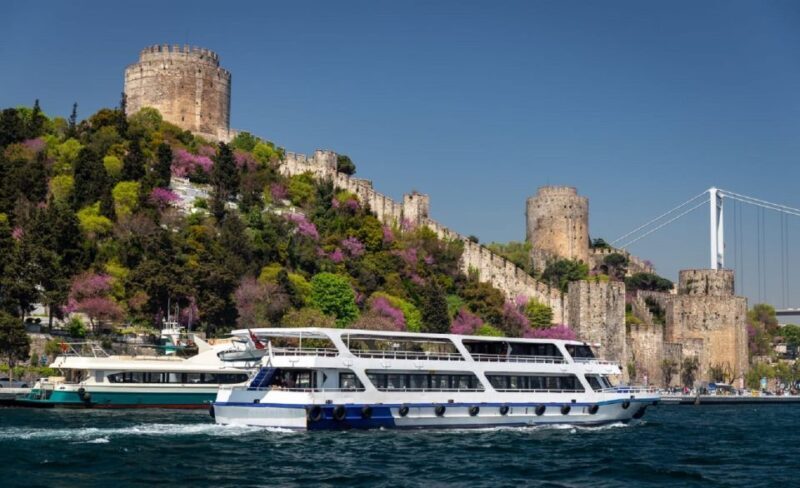 Istanbul: Old Town Tour and Bosphorus Lunch Cruise - The Sum Up