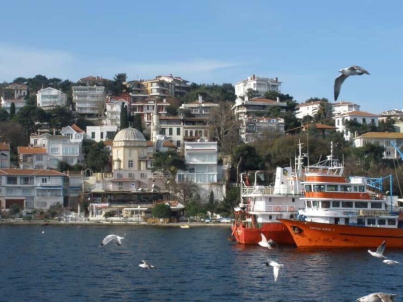 Istanbul Prince Island Cruise with Lunch & Free Time - Who Is This Tour Perfect For?