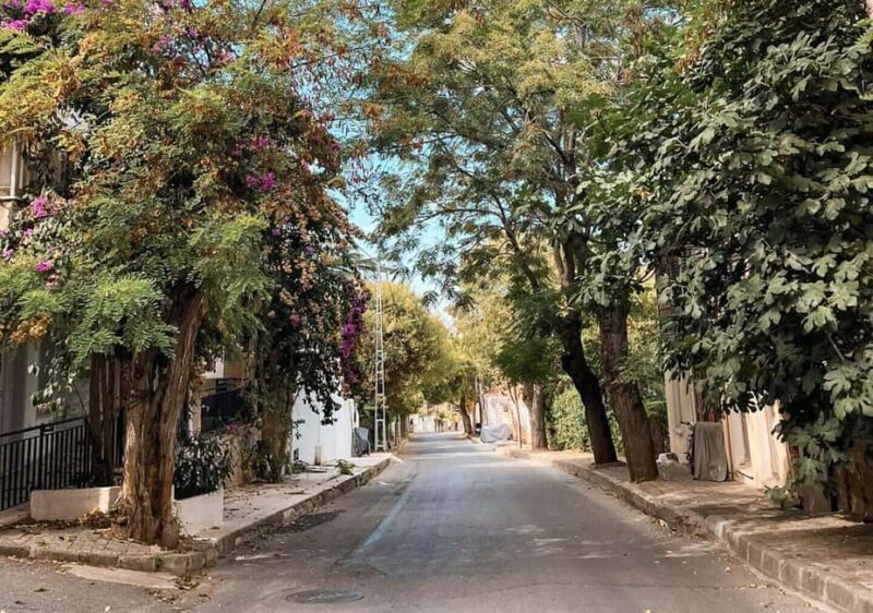 Istanbul: Prince islands Tour w/ Lunch and transfer options - The Experience in Practice