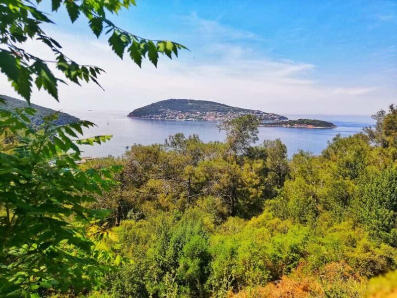 Istanbul: Prince islands Tour w/ Lunch and transfer options - Who Would Love This Tour?