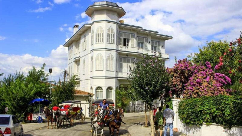 Istanbul: Prince islands Tour w/ Lunch and transfer options - The Sum Up