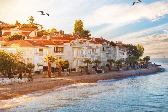 Istanbul Princes Island Tour with Lunch & Hotel Transfer - Who Should Consider This Tour?