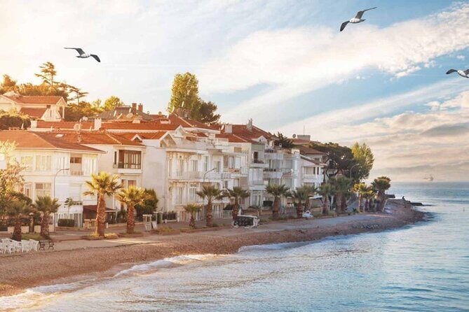 Istanbul Princes Islands Boat Trip with Lunch - Practical Tips