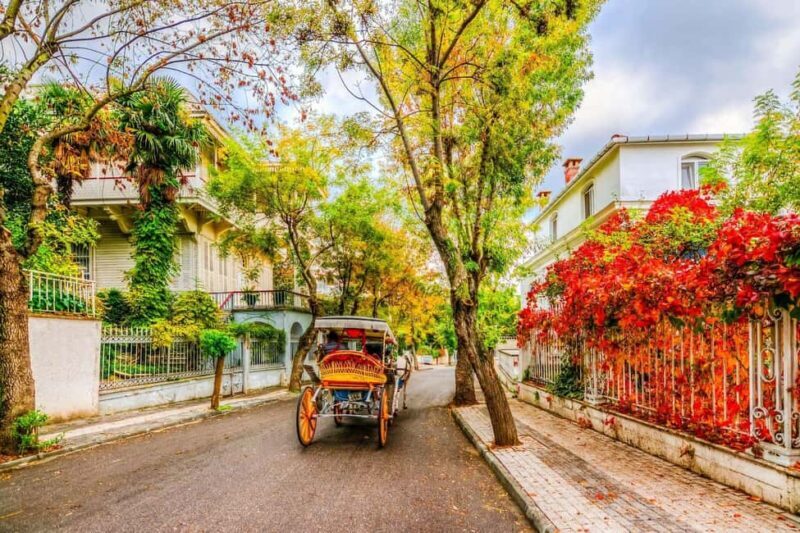 Istanbul: Princes' Islands Cruise with Lunch and Guide - A Day in the Life: What to Expect