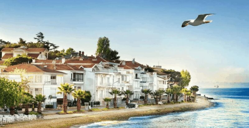 Istanbul: Princes Islands Tour with Heybeliada and Büyükada - Who Is This Tour Best For?