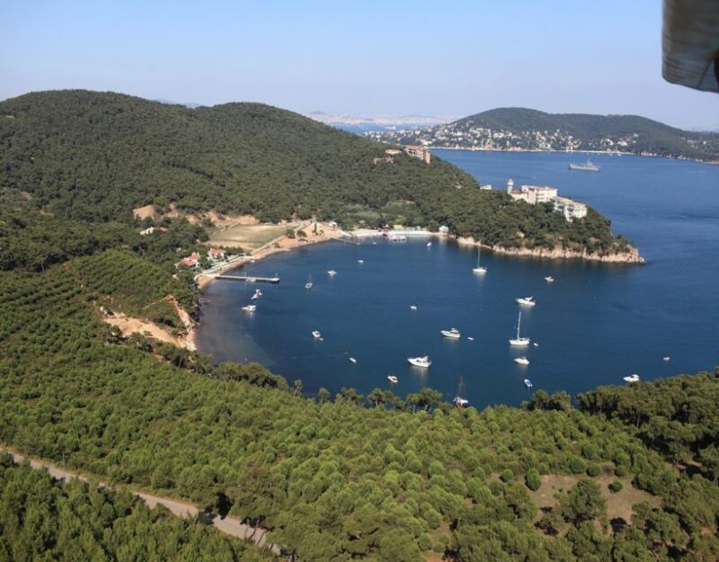 Istanbul: Princes' Islands Tour with Lunch and Transfers - The Sum Up