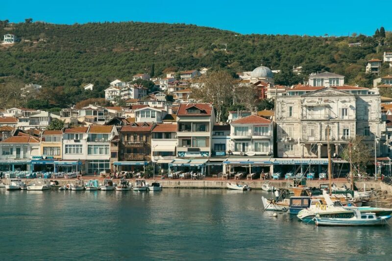 Istanbul: Princes Islands Walking Full-Day Tour - Who Will Enjoy This Tour