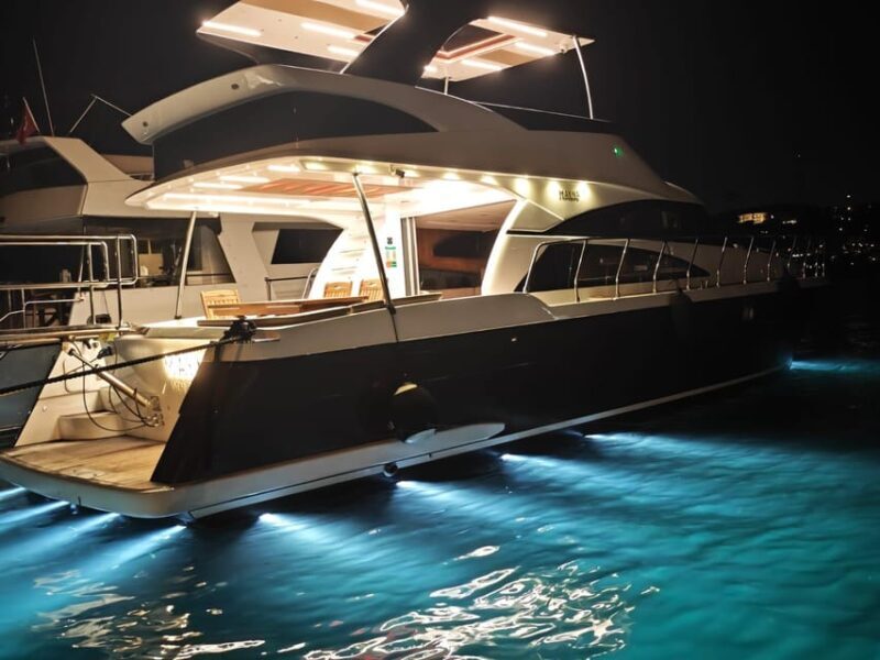 Istanbul: Private Bosphorus Yacht with Tour Guide and Snacks - Final Thoughts