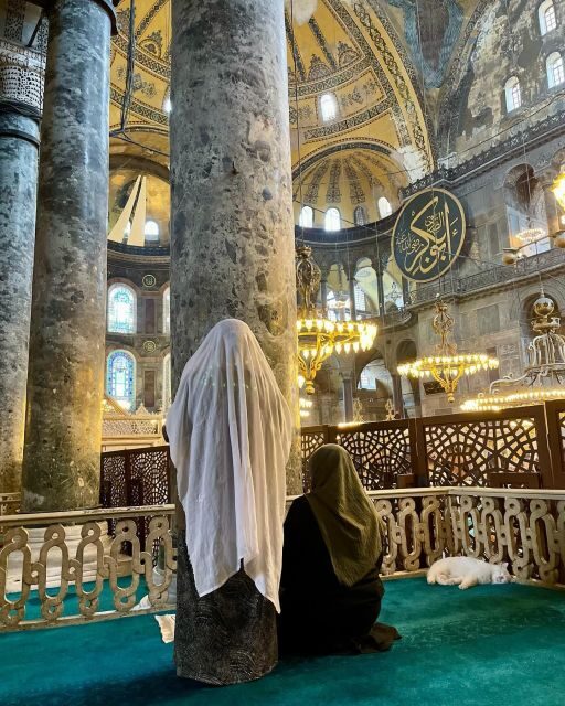 Istanbul Private Full-Day Highlights Tour with Guide - The Realities from Traveler Reviews