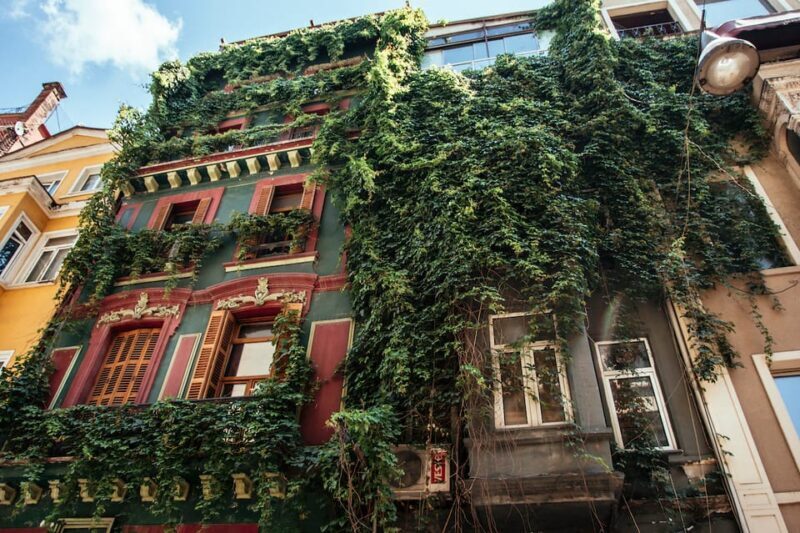 Istanbul: Private Guided Food Tour with 10 Tastings - Key Points